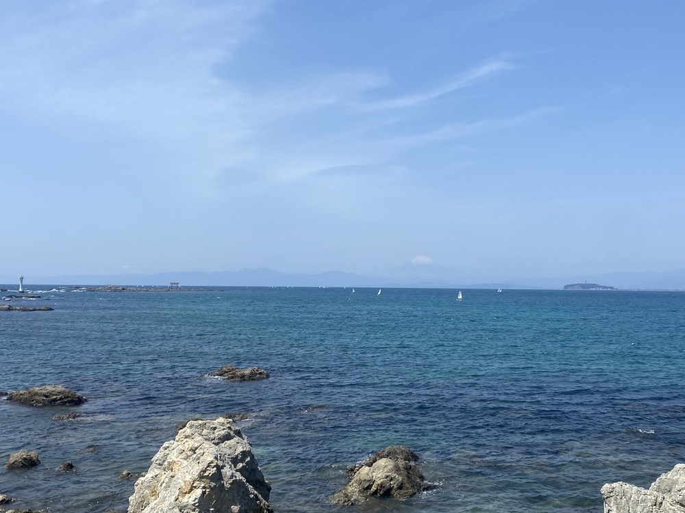 三浦半島ウエストコーストランの写真5