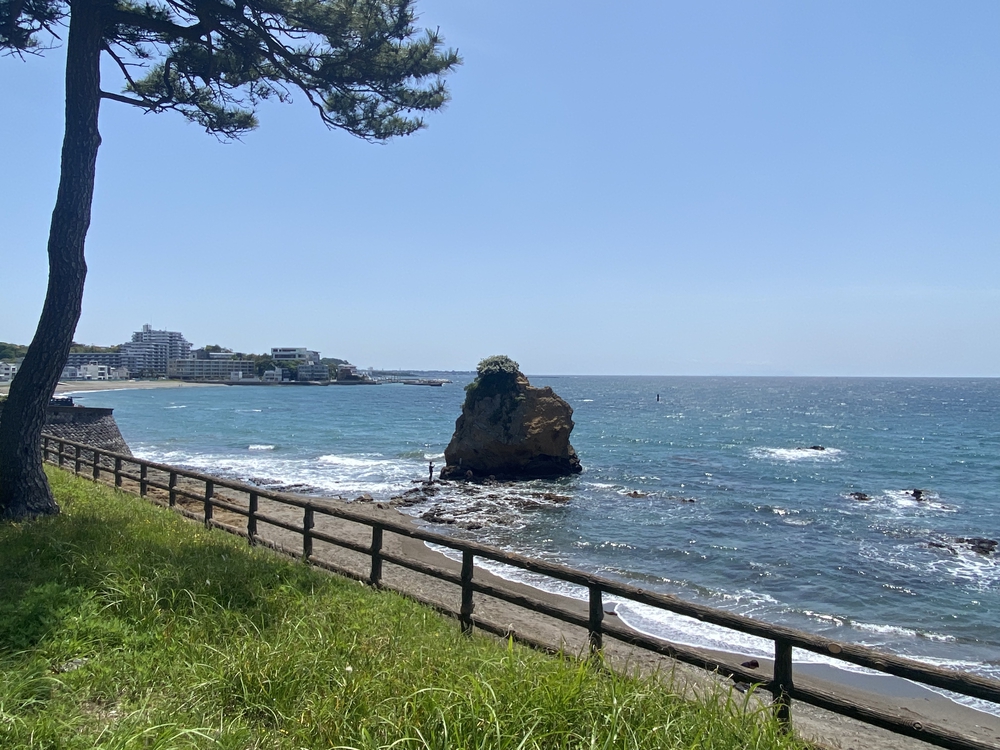 三浦半島ウエストコーストランの写真9