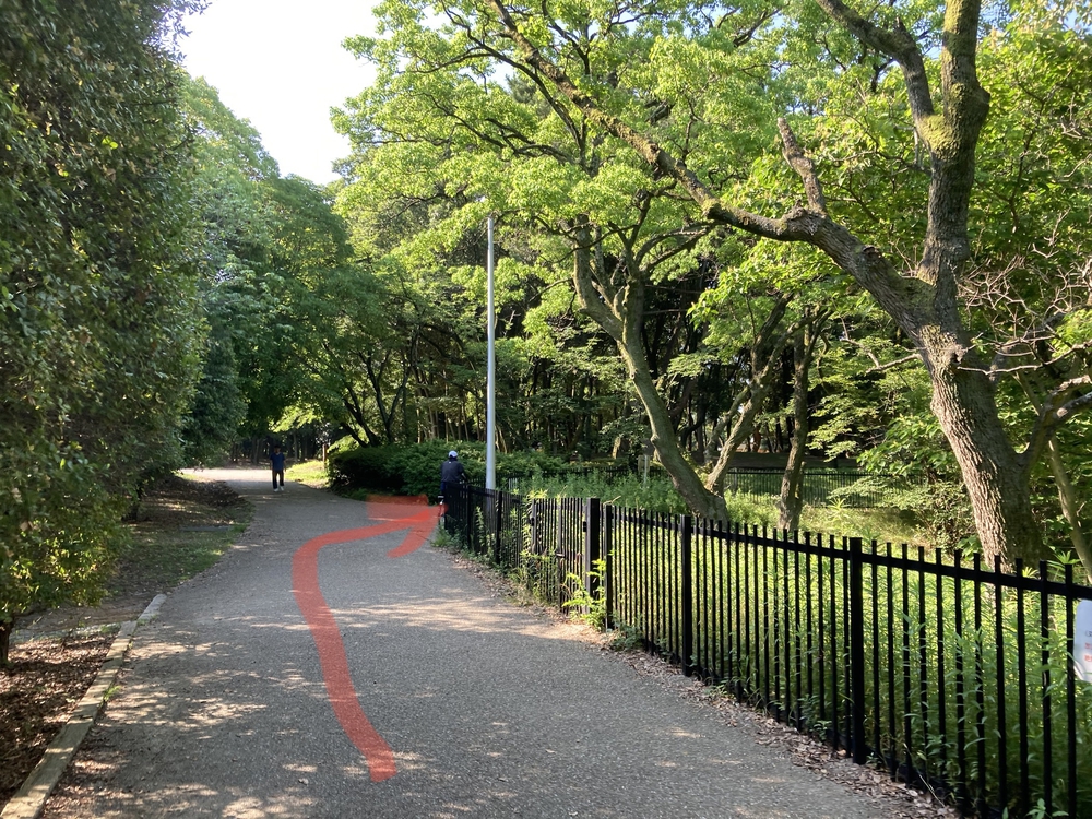 服部緑地公園☆日陰道46の写真4