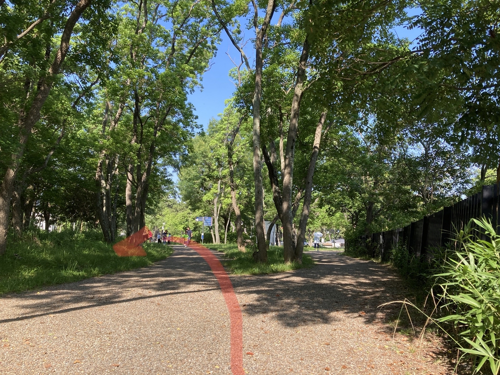 服部緑地公園☆日陰道46の写真5