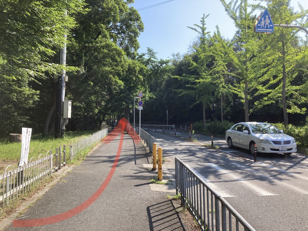 服部緑地公園☆日陰道46の写真6