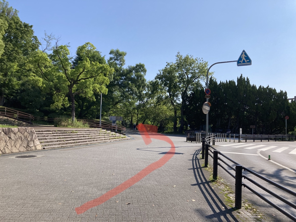 服部緑地公園☆日陰道46の写真7