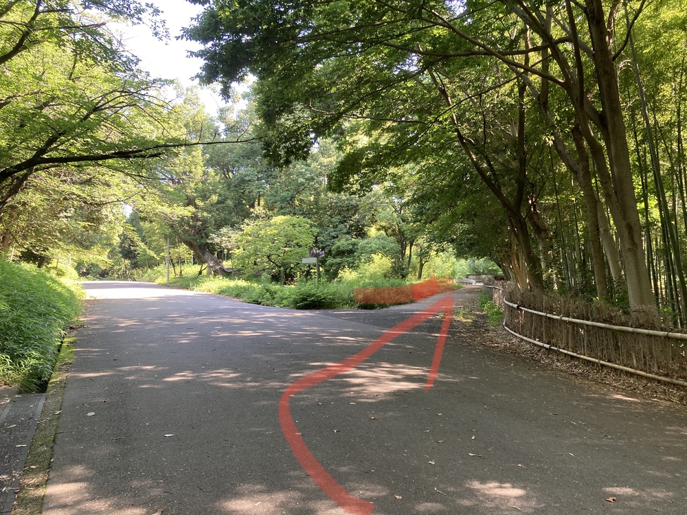 服部緑地公園☆日陰道46の写真8