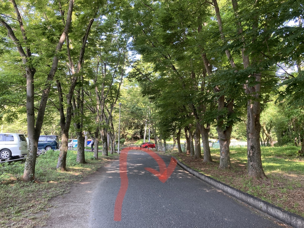 服部緑地公園☆日陰道46の写真10