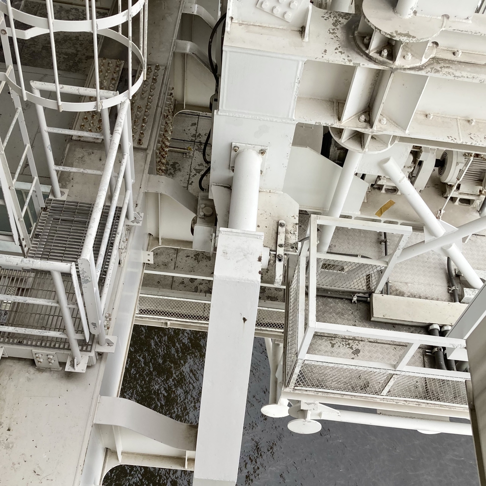 都立公園デジタルスタンプラリー【海】の写真14