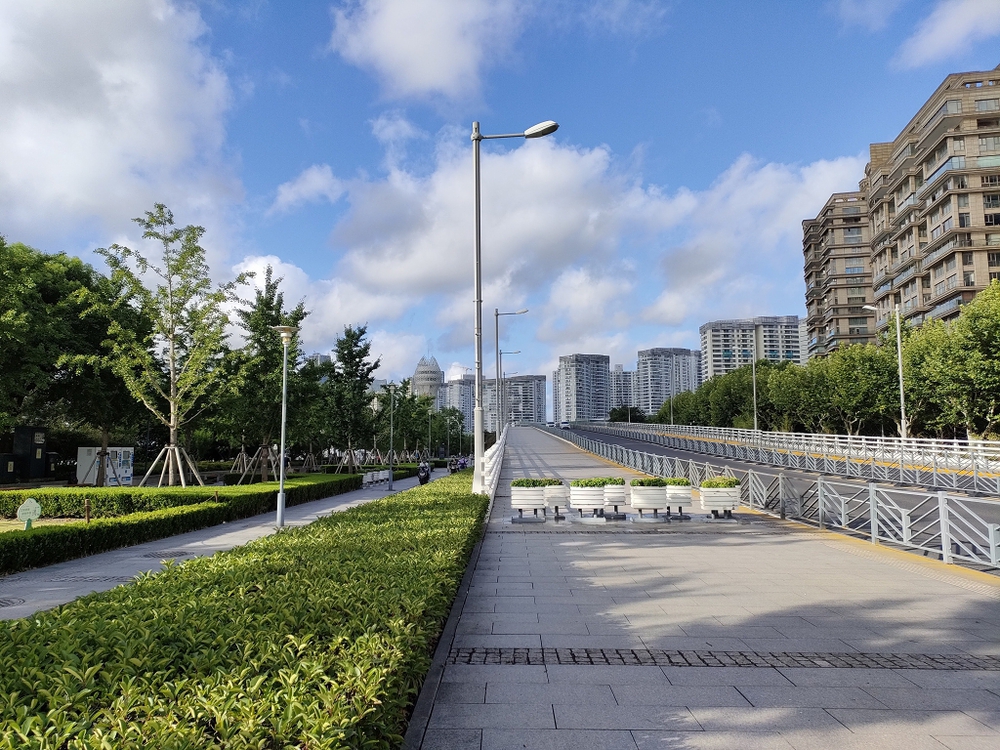 上海　黄浦江西岸2022の写真6