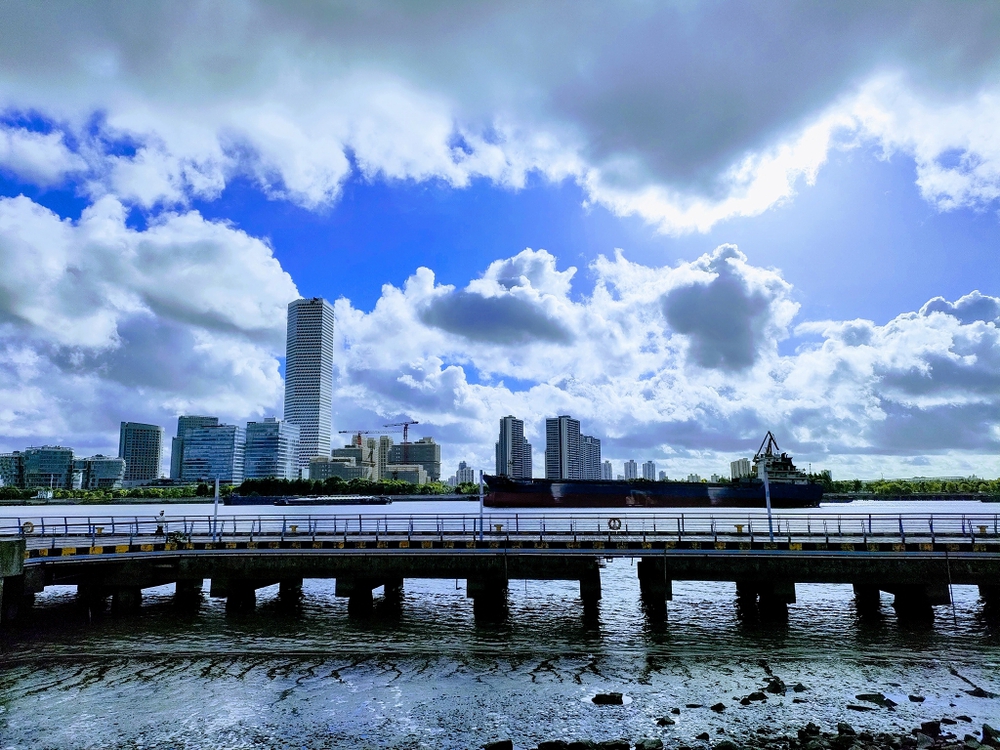 上海　黄浦江西岸2022の写真14