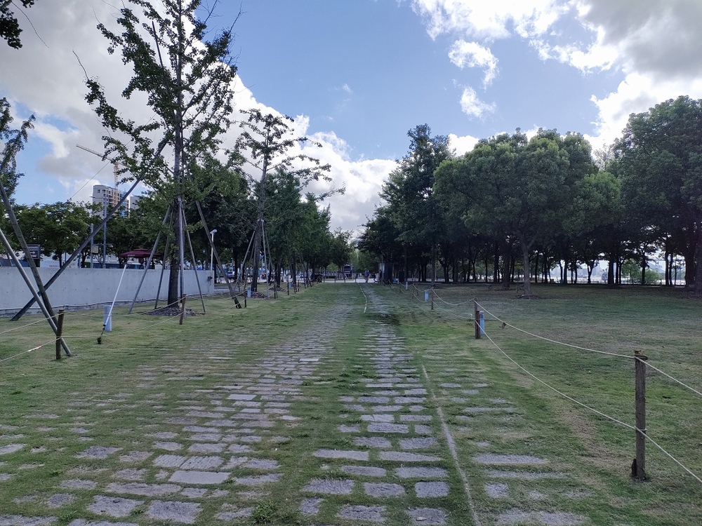 上海　黄浦江西岸2022の写真21