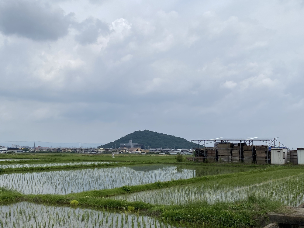 橿原神宮から始まる名勝大和三山、藤原京跡巡りハーフコースの写真7