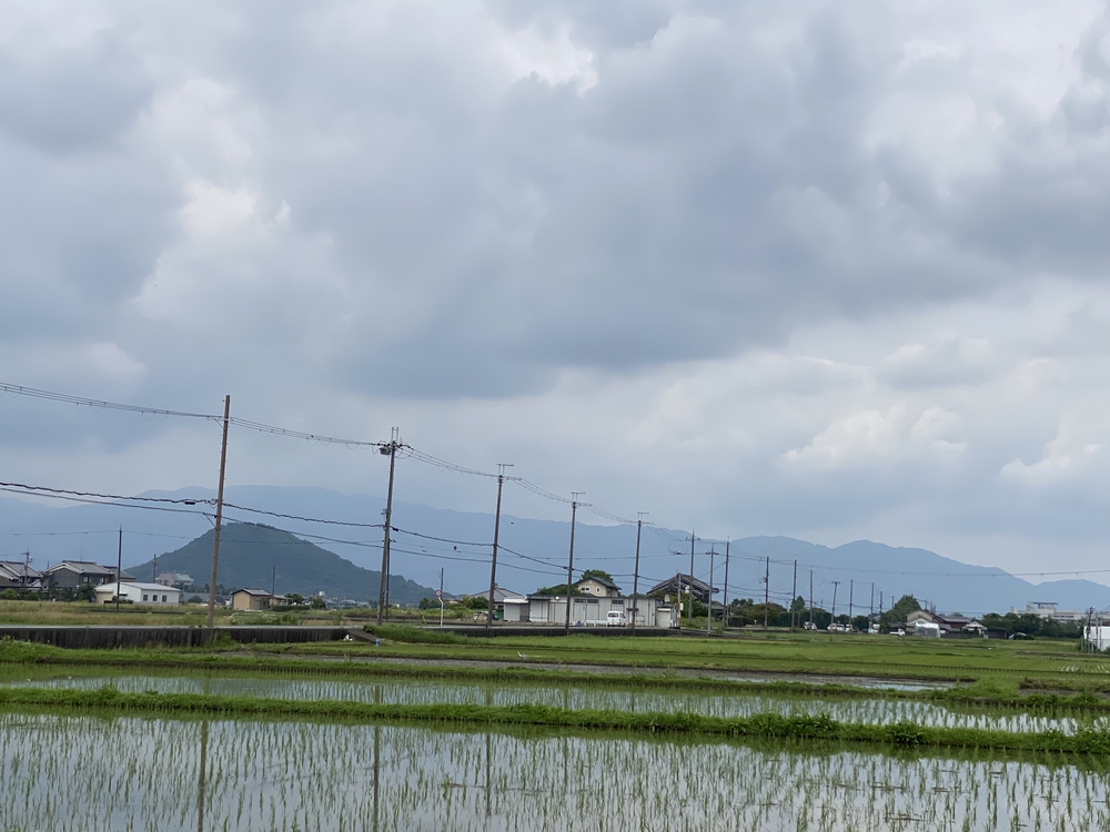 橿原神宮から始まる名勝大和三山、藤原京跡巡りハーフコースの写真8