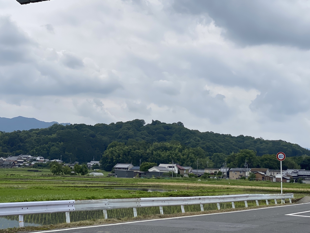 橿原神宮から始まる名勝大和三山、藤原京跡巡りハーフコースの写真9