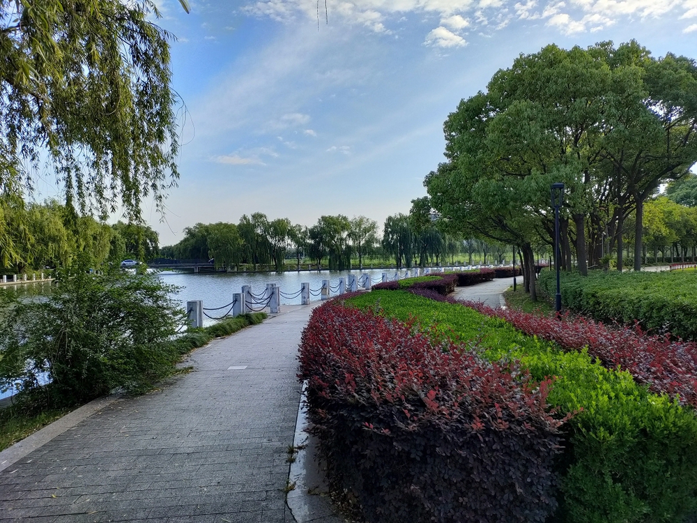 上海　思贤公园水辺ランの写真3