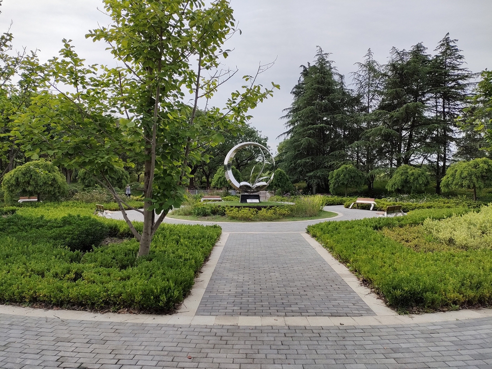 上海　思贤公园水辺ランの写真6