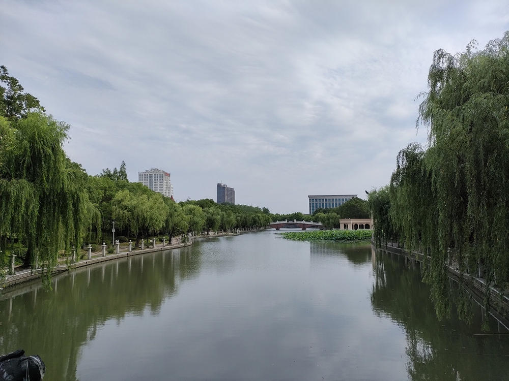 上海　思贤公园水辺ランの写真8