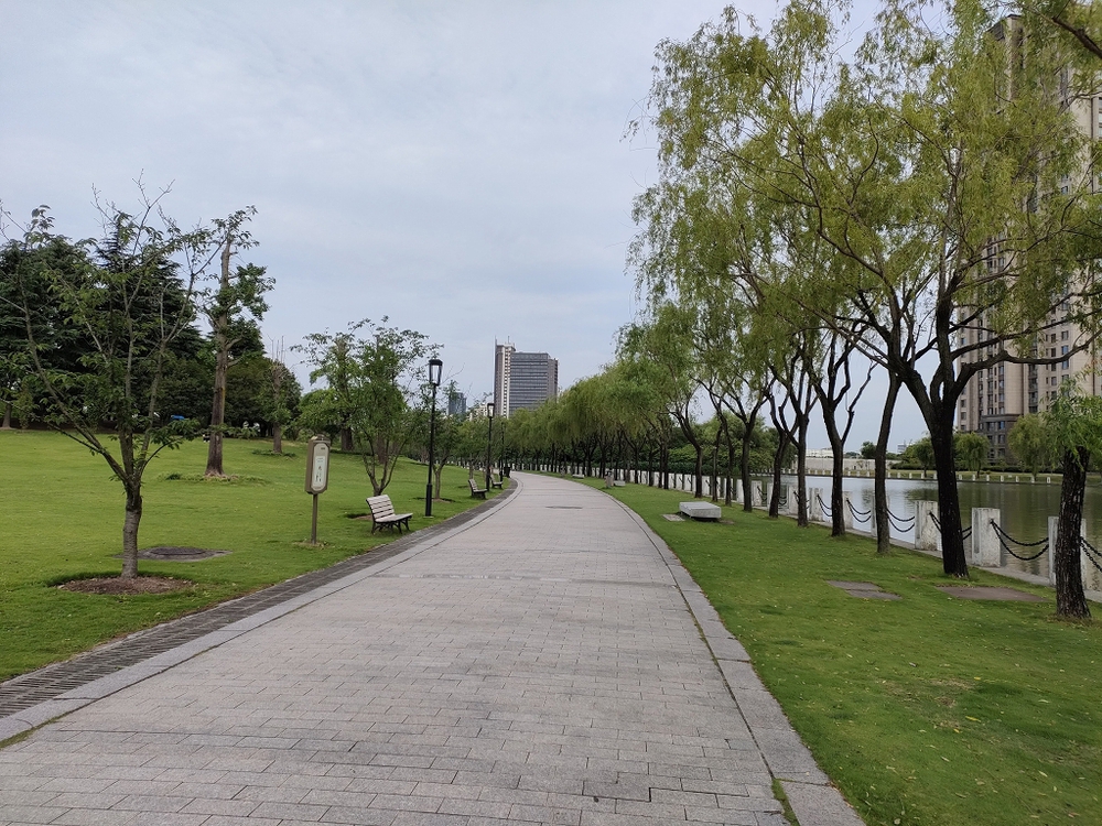 上海　思贤公园水辺ランの写真15