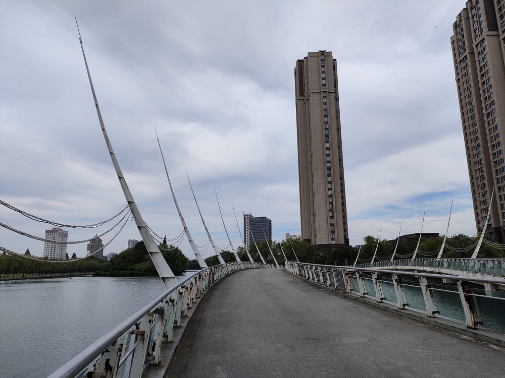 上海　思贤公园水辺ランの写真16