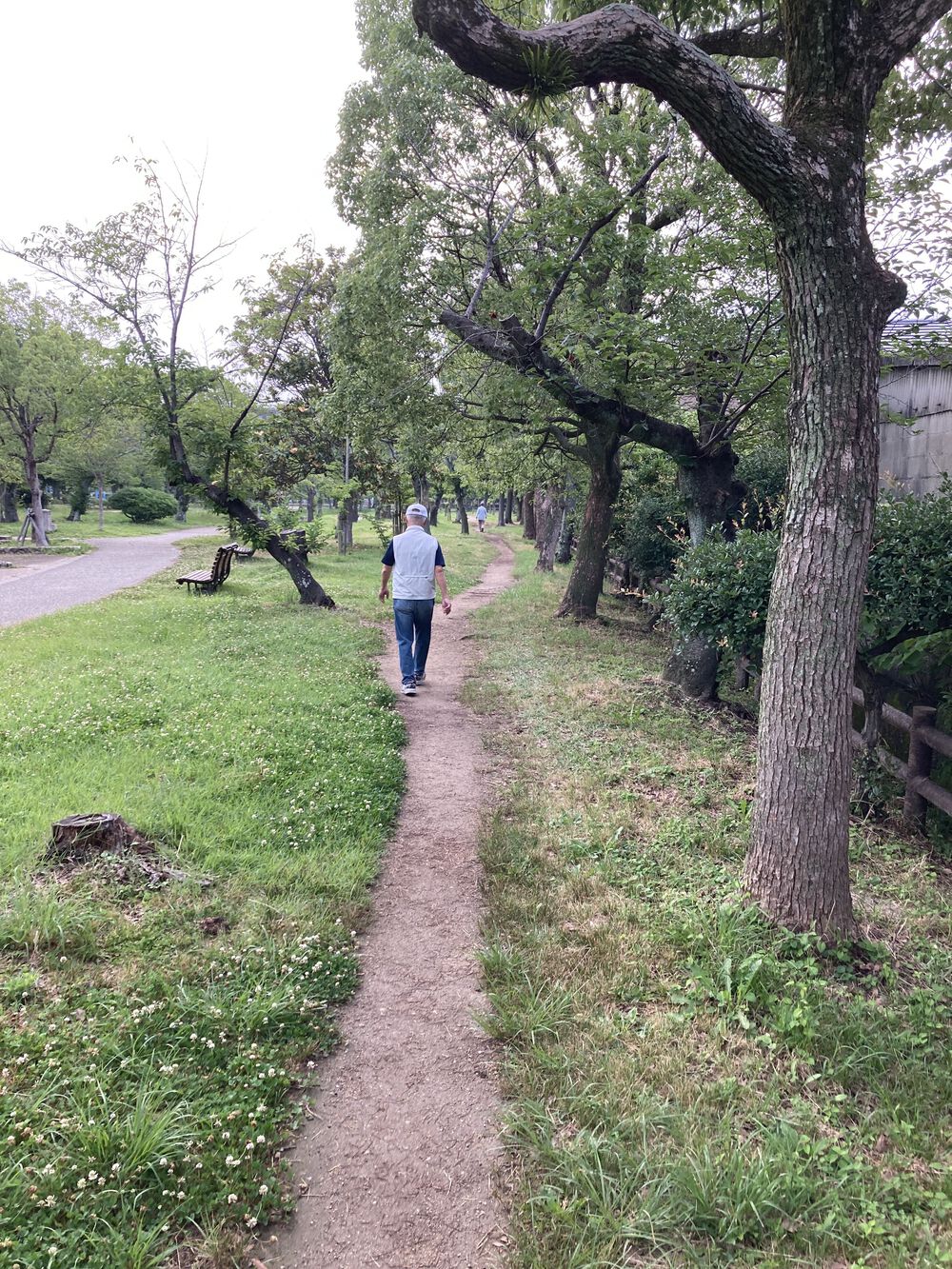 爽快新緑の尼崎♪西武庫公園の写真3
