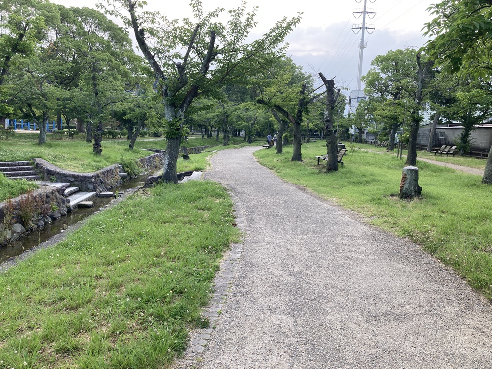 爽快新緑の尼崎♪西武庫公園の写真4