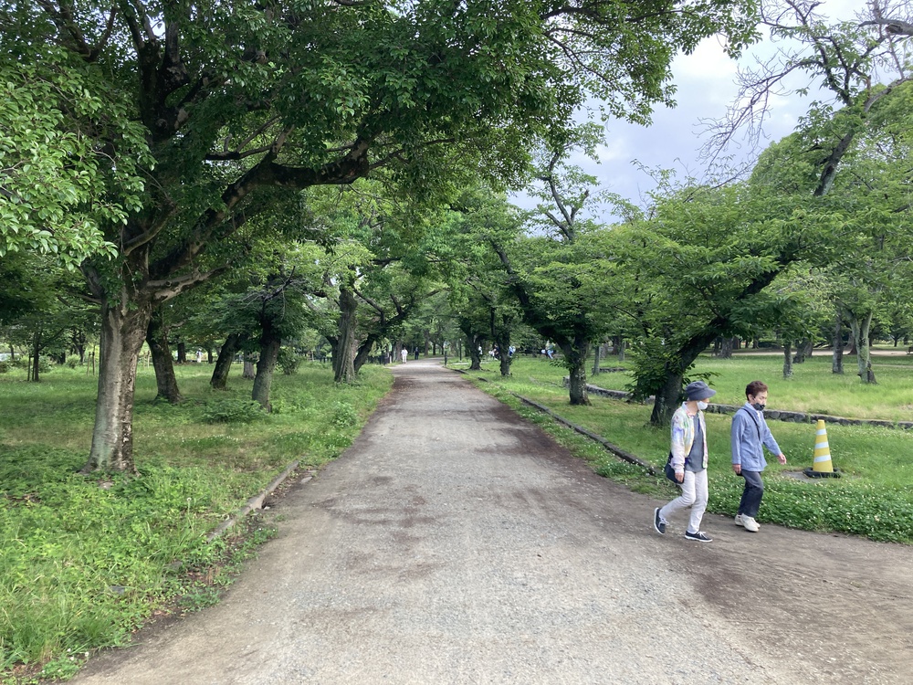 爽快新緑の尼崎♪西武庫公園の写真5