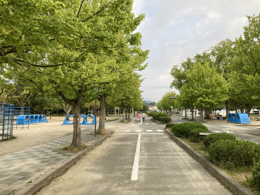 爽快新緑の尼崎♪西武庫公園の写真6