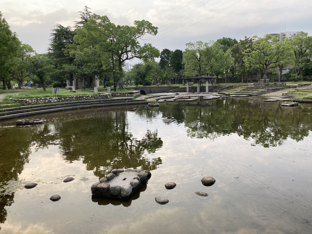 爽快新緑の尼崎♪西武庫公園の写真8