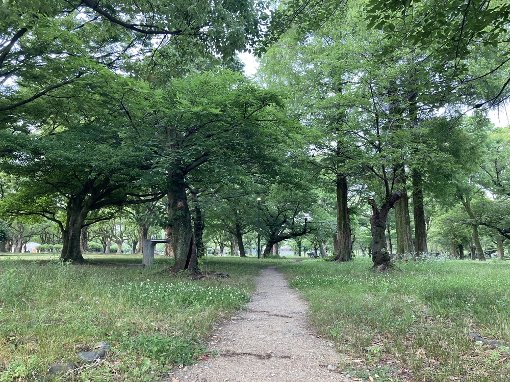 爽快新緑の尼崎♪西武庫公園の写真12