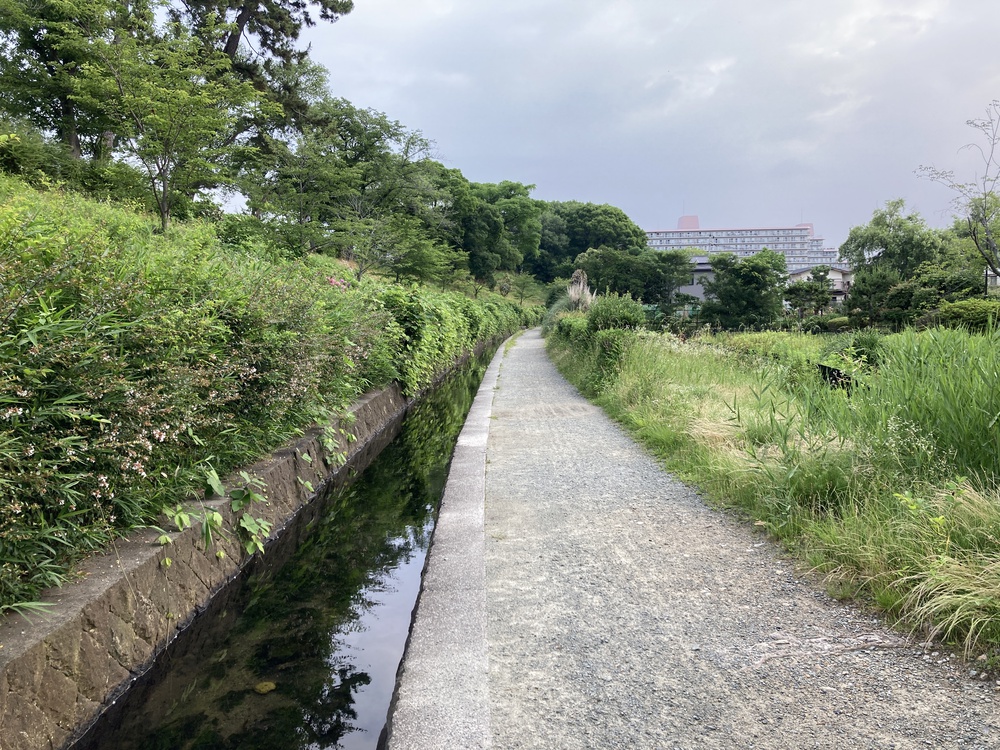 爽快新緑の尼崎♪西武庫公園の写真13