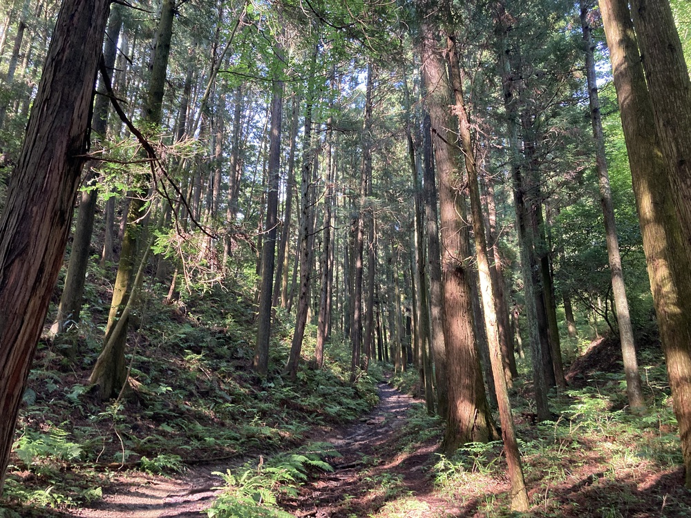 長瀞アルプスで宝登山への写真5