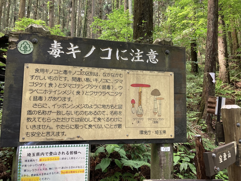 長瀞アルプスで宝登山への写真6