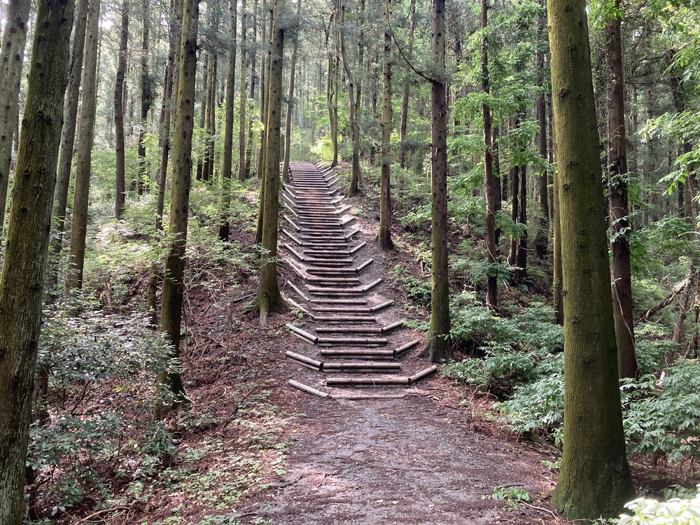 長瀞アルプスで宝登山への写真7
