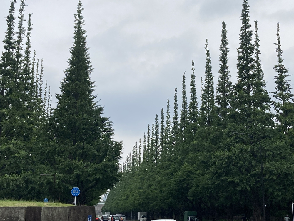 都立公園デジタルスタンプラリー山手線南側の写真4