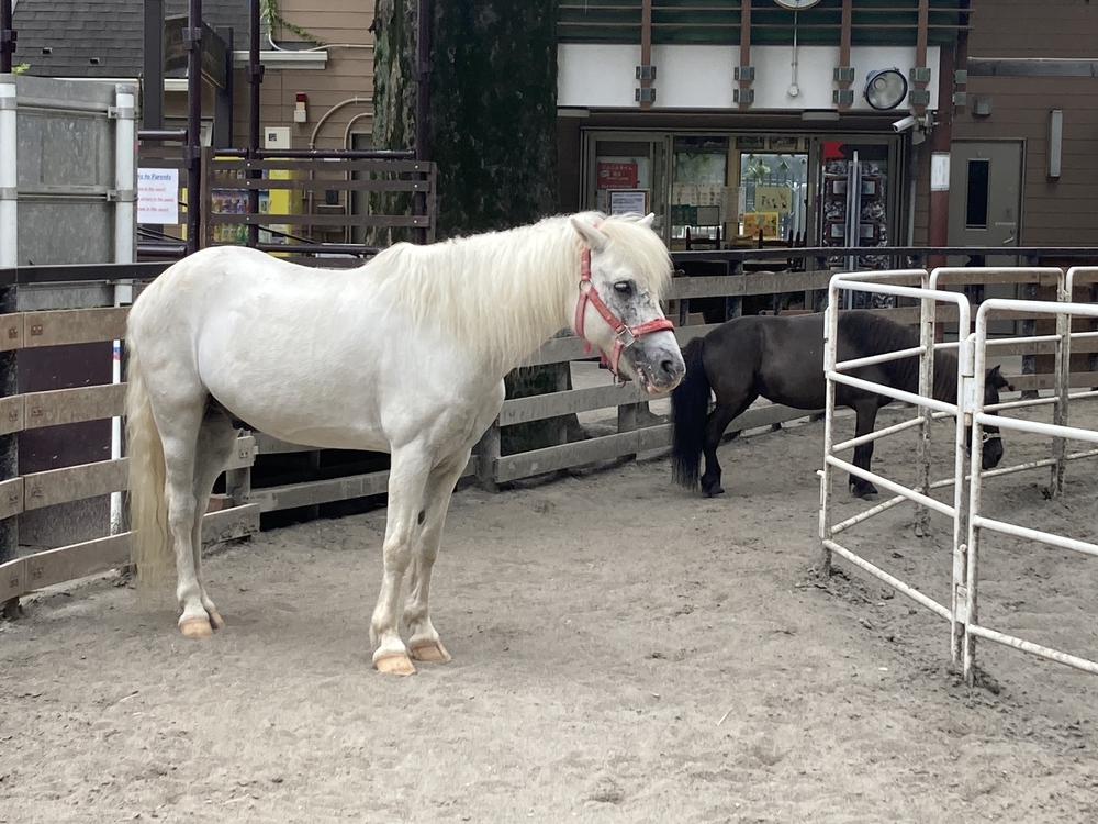 都立公園デジタルスタンプラリー山手線南側の写真7