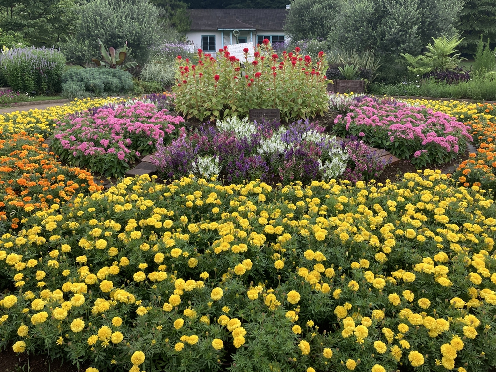 都立公園デジタルスタンプラリー山手線南側の写真8