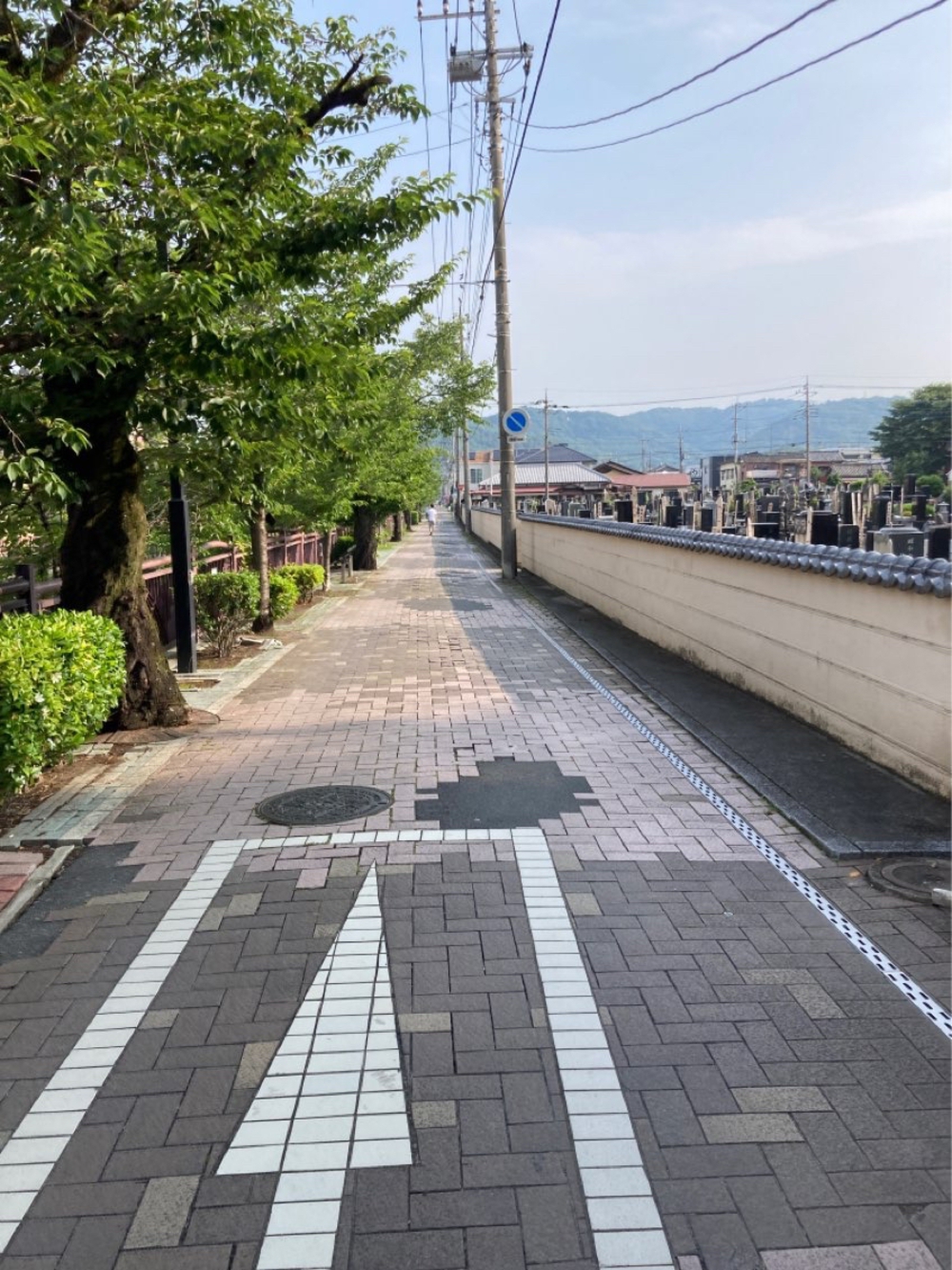 街中から田園エリアへ！（太田駅〜群馬こどもの国）の写真5
