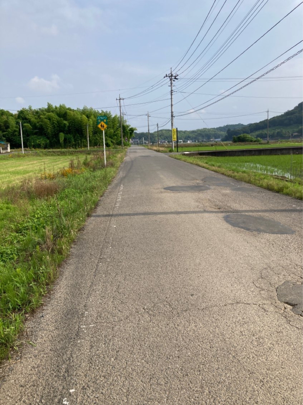街中から田園エリアへ！（太田駅〜群馬こどもの国）の写真6