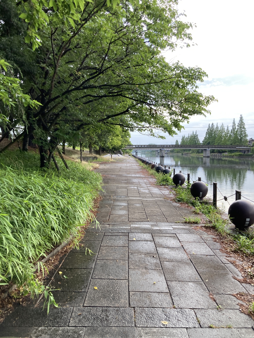 富岩運河の歴史ある橋を見ながら走る（富岩運河環水公園〜いたち川沿）の写真4