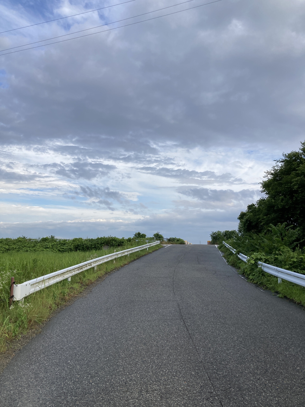 富岩運河の歴史ある橋を見ながら走る（富岩運河環水公園〜いたち川沿）の写真5