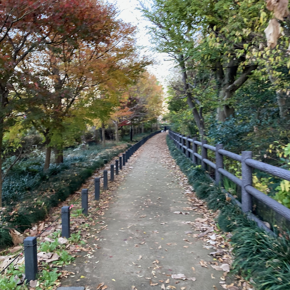 都立公園デジタルスタンプラリー【善福寺川〜神田川】の写真10