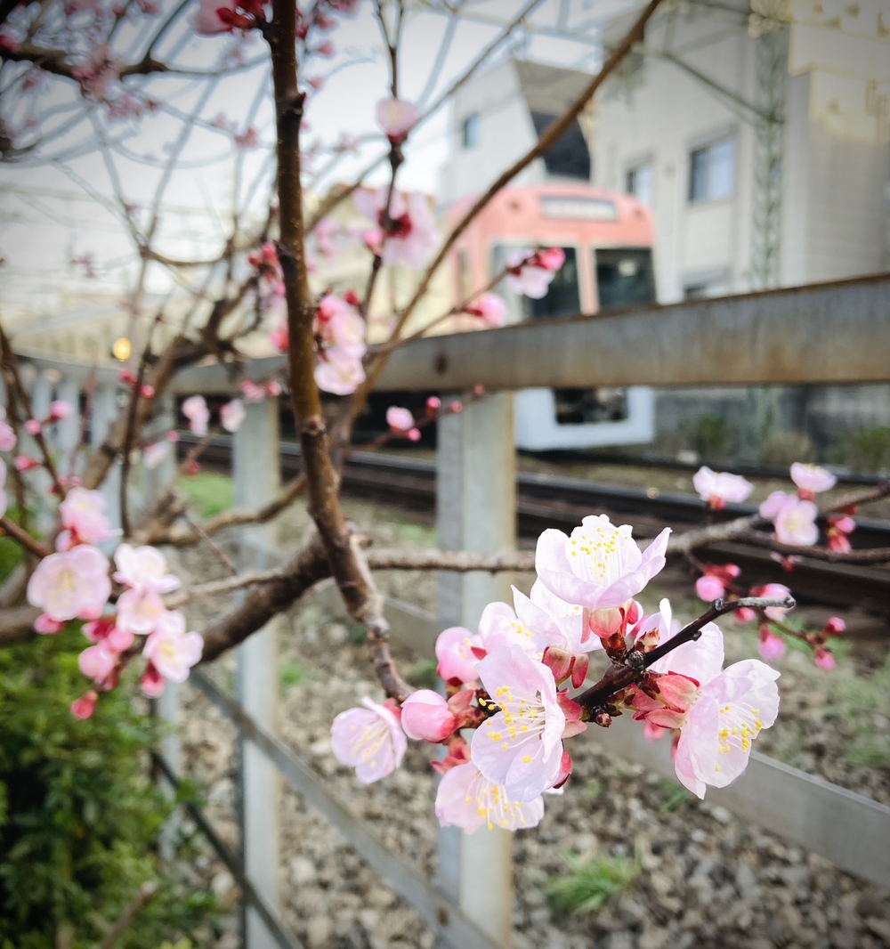 都立公園デジタルスタンプラリー【善福寺川〜神田川】の写真12