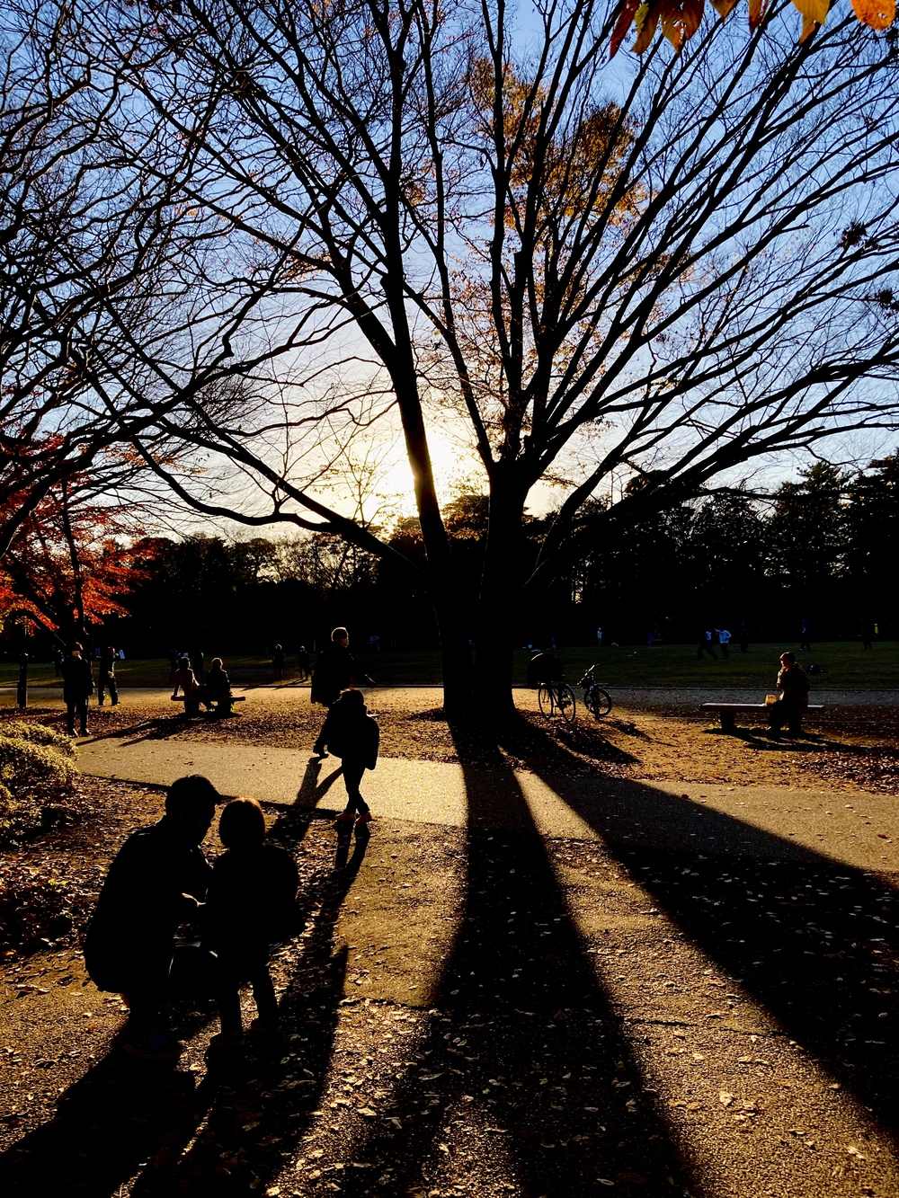 都立公園デジタルスタンプラリー【善福寺川〜神田川】の写真13