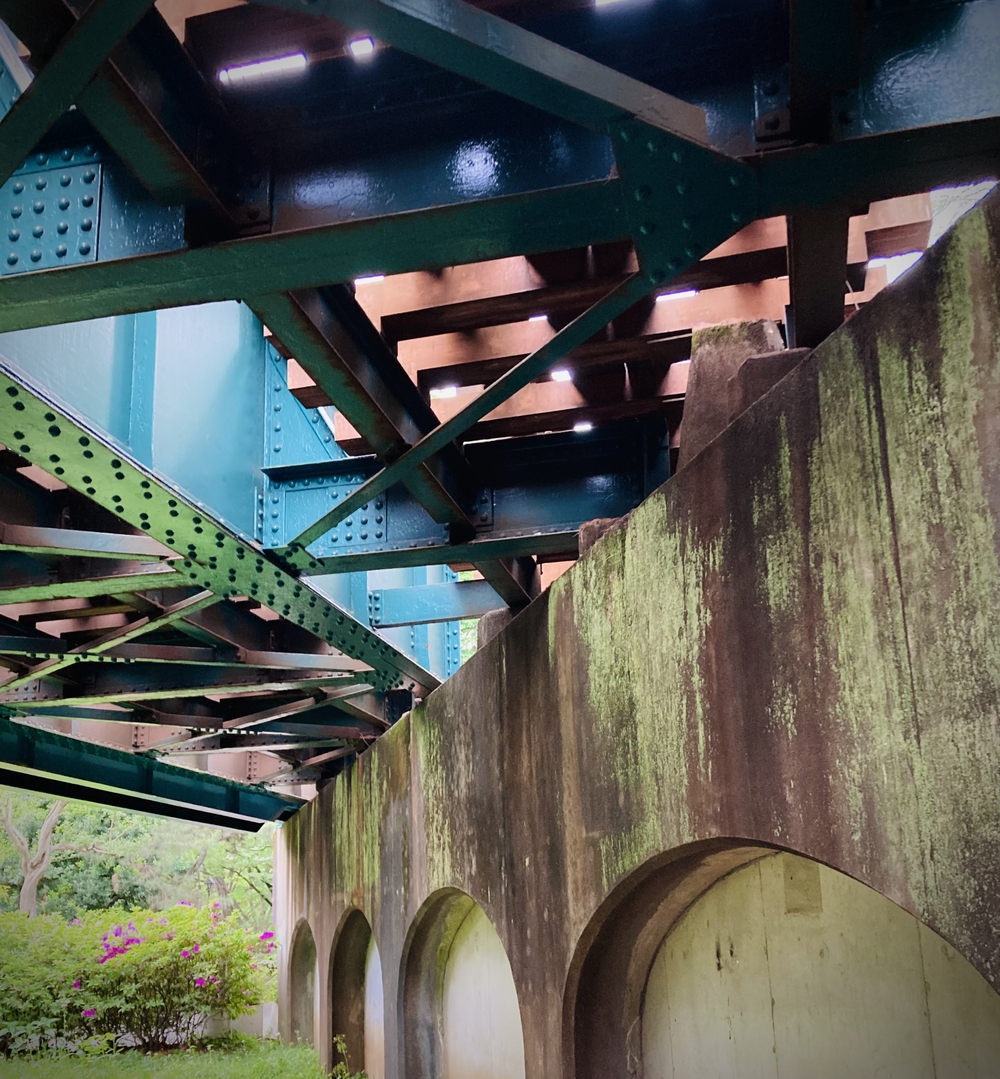 都立公園デジタルスタンプラリー【善福寺川〜神田川】の写真14