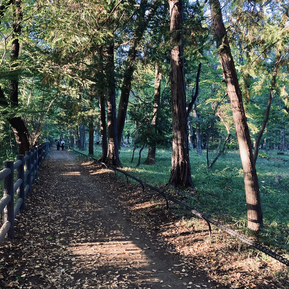都立公園デジタルスタンプラリー【善福寺川〜神田川】の写真15