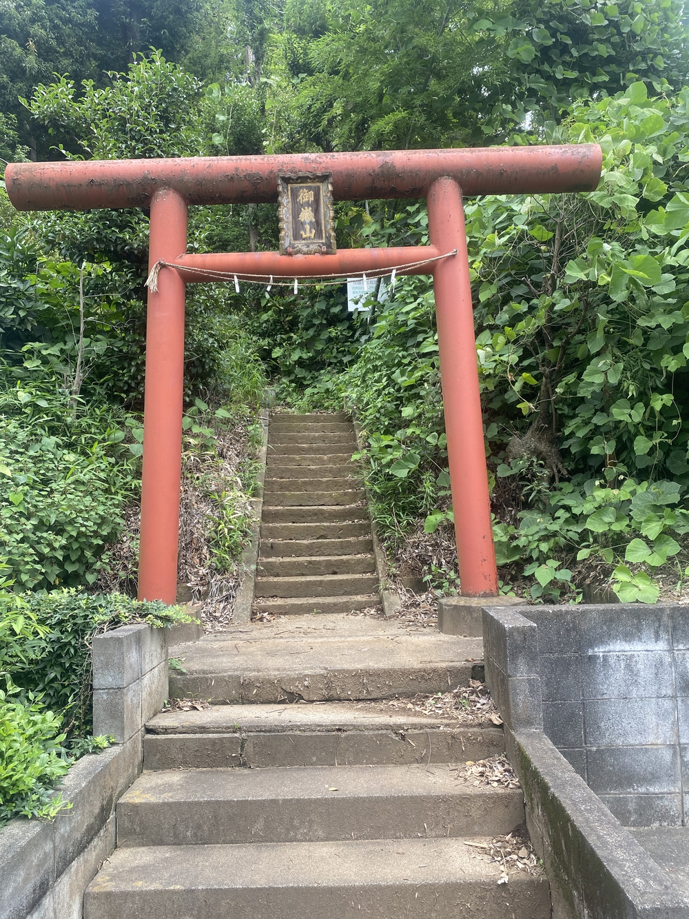 朝霞の坂、全制覇ラン（コンプ編）の写真6