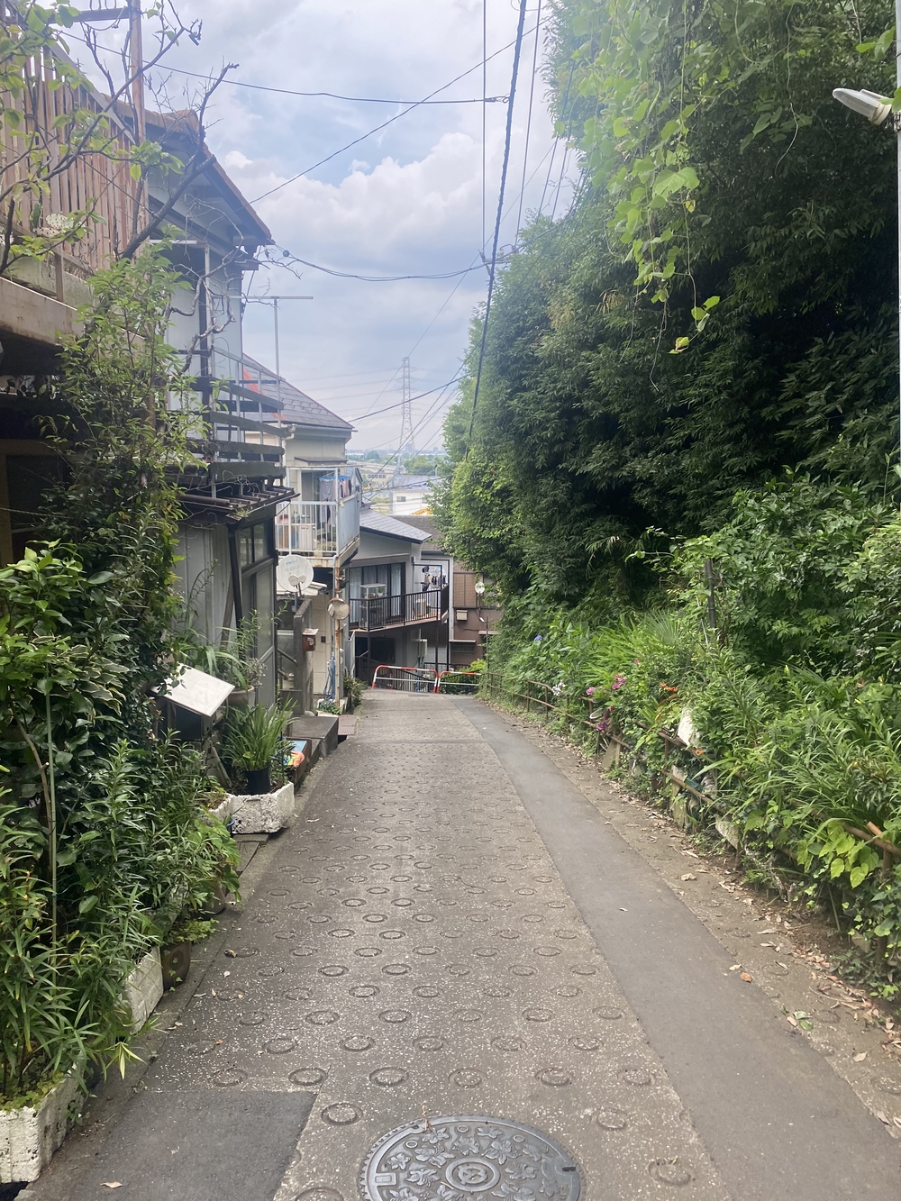 朝霞の坂、全制覇ラン（コンプ編）の写真8