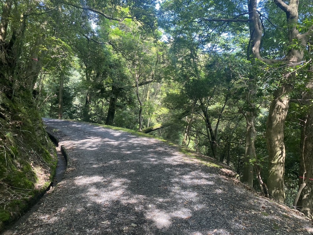 春日山遊歩道の写真11