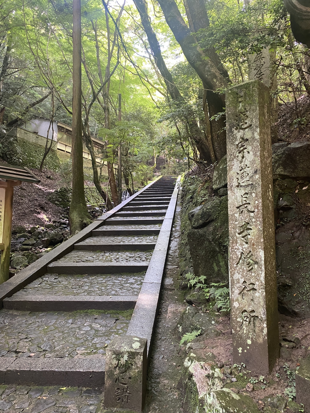 春日山遊歩道の写真12