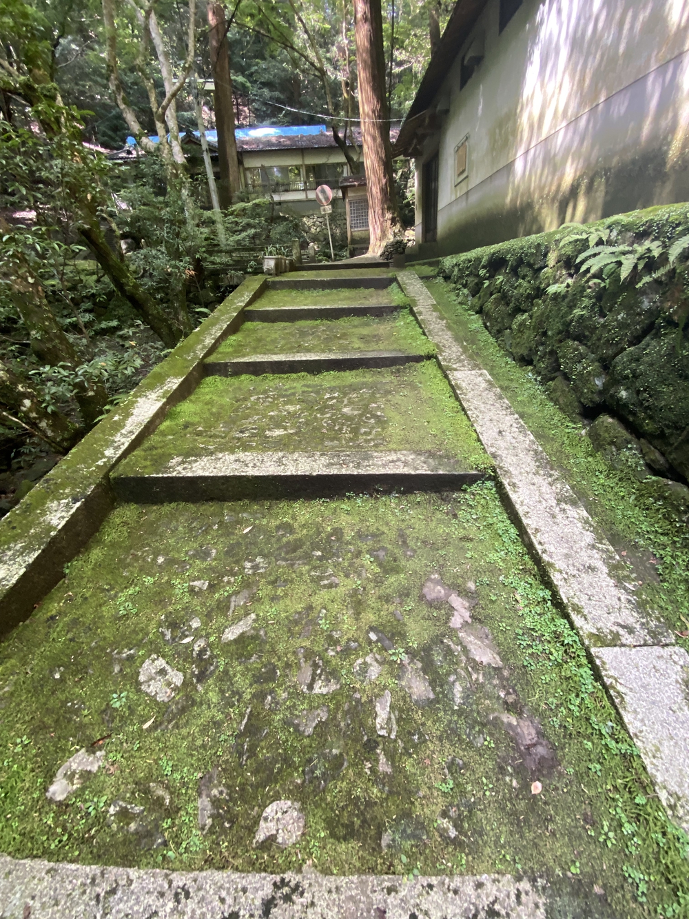 春日山遊歩道の写真13