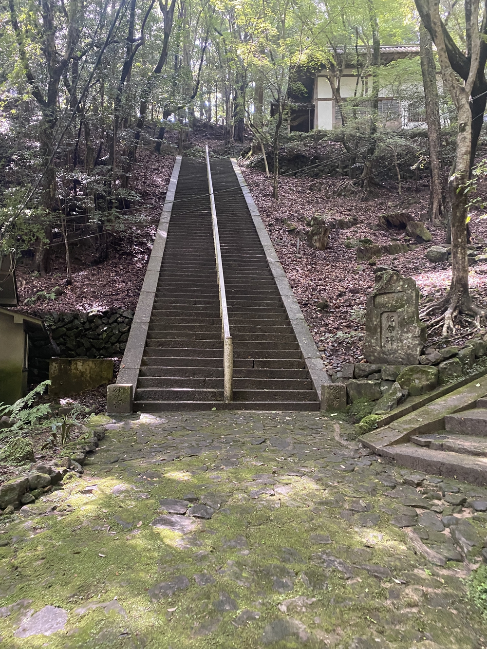 春日山遊歩道の写真14