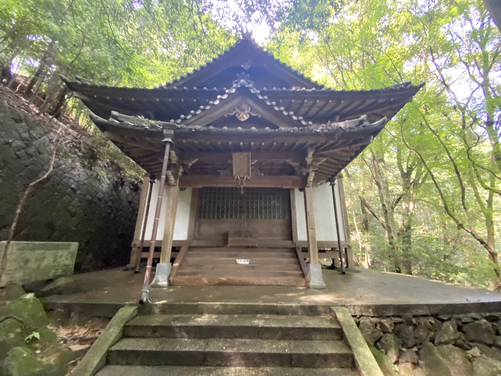 春日山遊歩道の写真15