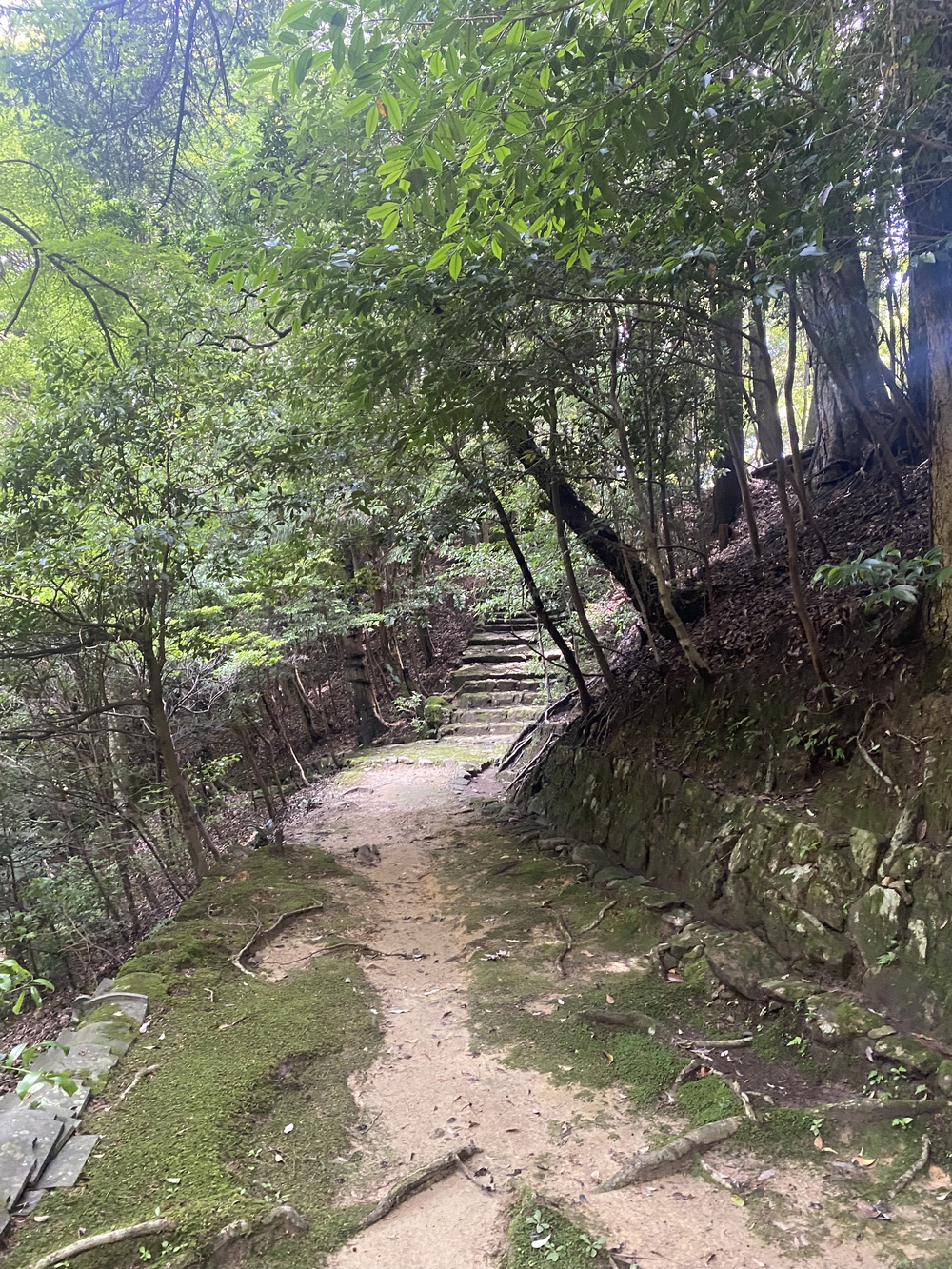 春日山遊歩道の写真16